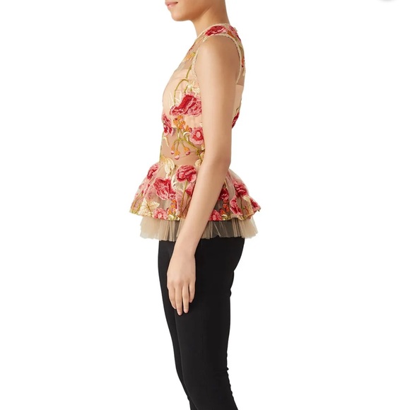 VONE Size 2 Sheer Lelan Top - True to Size (XS/SM) - Picture 3 of 10